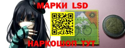 гидра Новозыбков