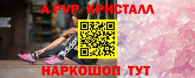 гидра Новозыбков