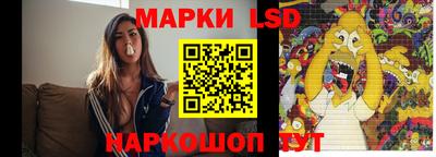 гидра Новозыбков