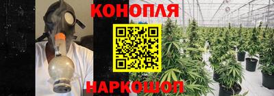 гидра Новозыбков