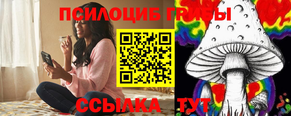 Псилоцибиновые грибы мухоморы  Псилоцибиновые грибы мухоморы  Тихорецк  Вход с VPN 